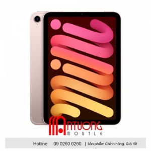 iPad mini 6